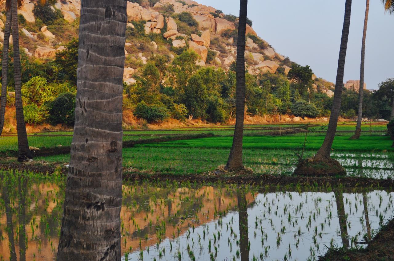 Uma Shankar Hampi Extérieur photo